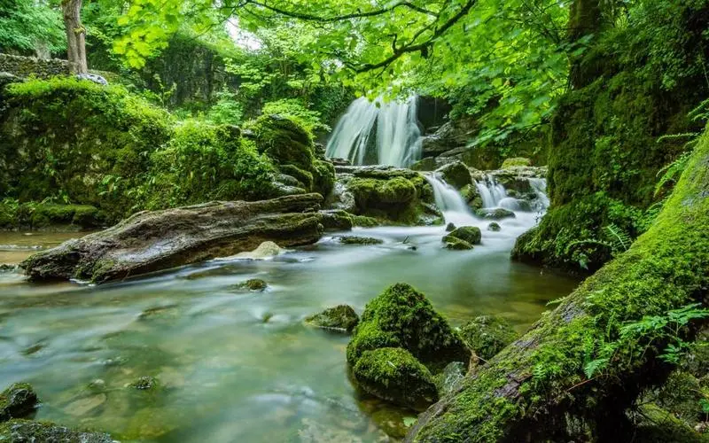 高标准可靠性